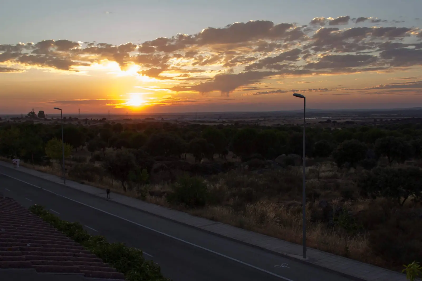 Atardecer sobre el campo cacereño