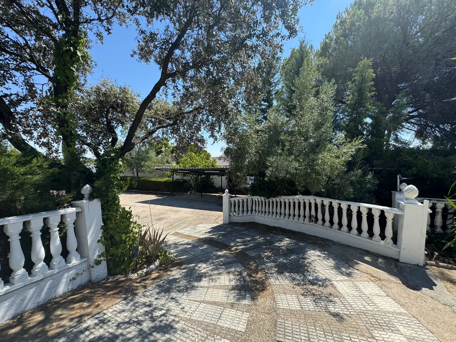 Terraza exterior entre árboles