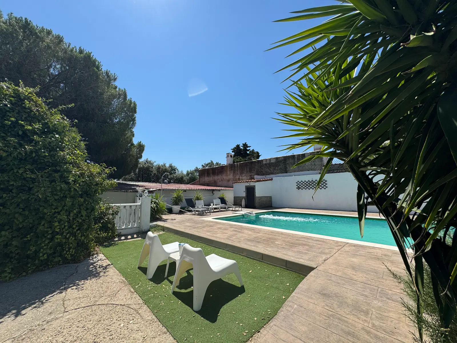 Piscina con zona de césped y solárium
